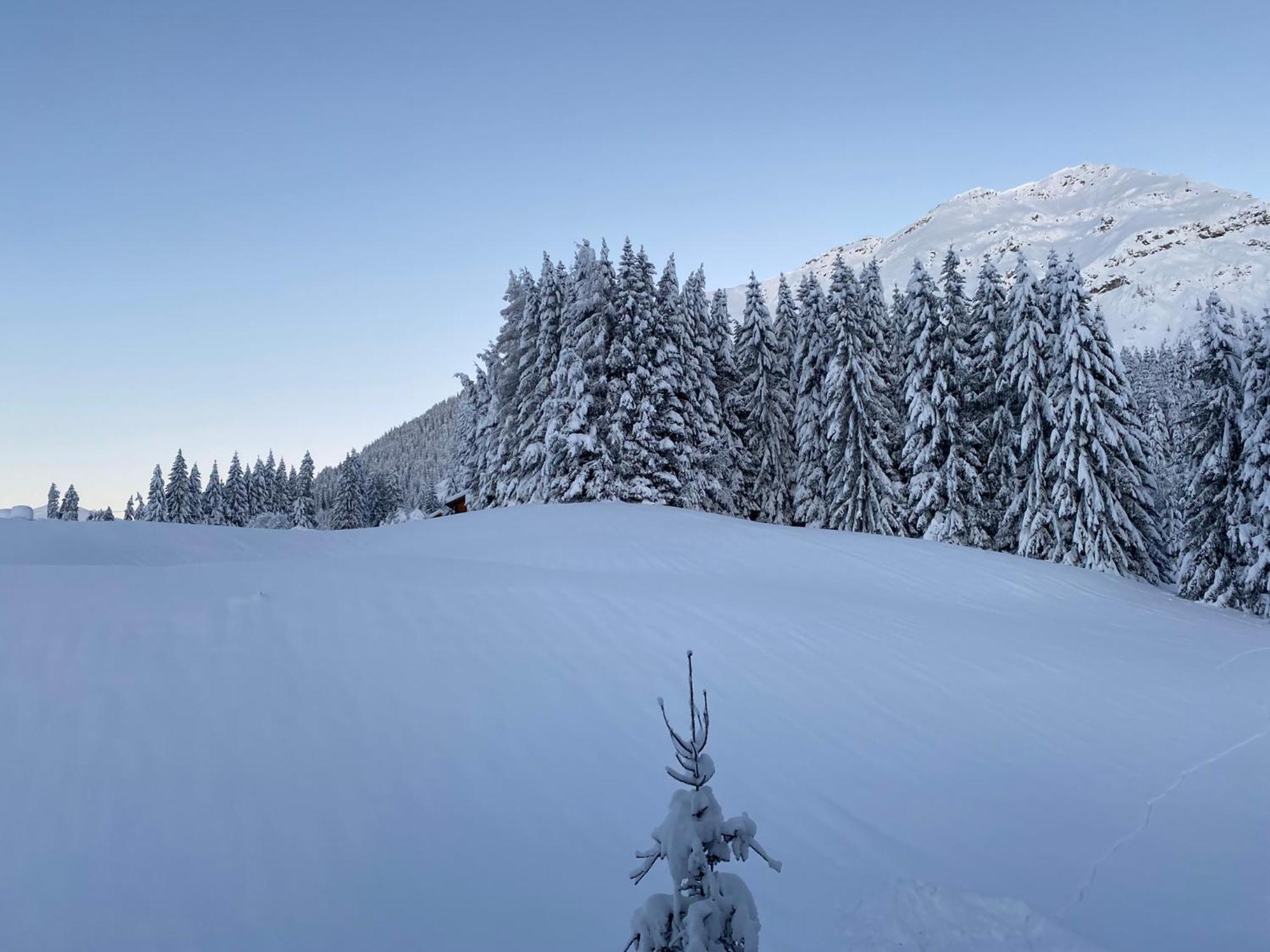 Appartements Sonnalm Berwang Exteriér fotografie