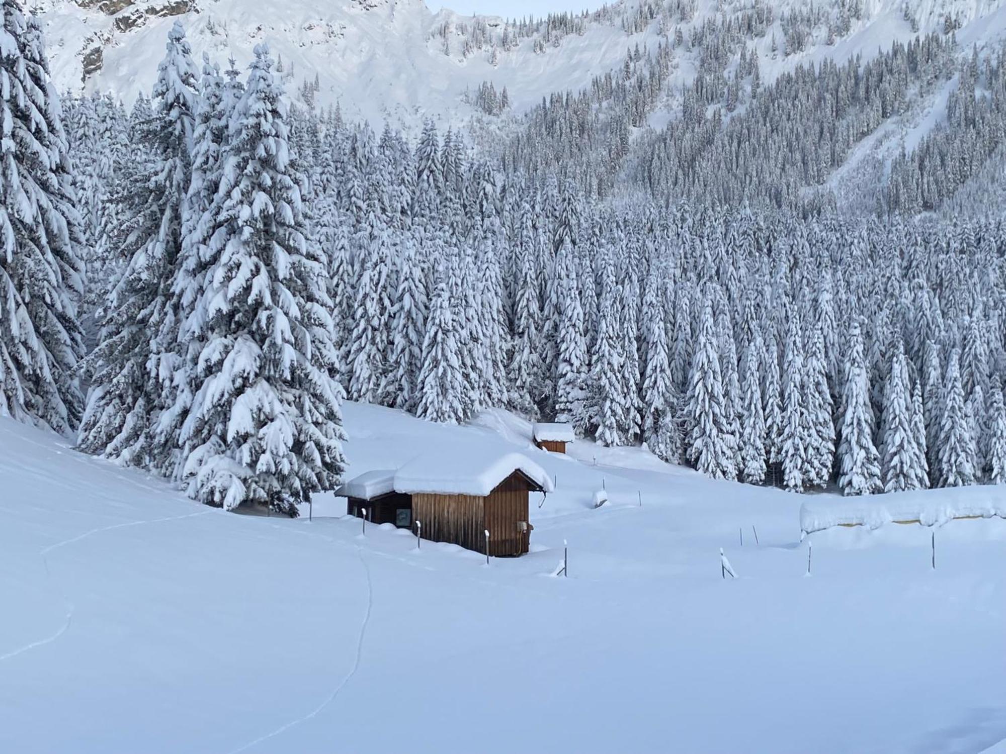 Appartements Sonnalm Berwang Exteriér fotografie